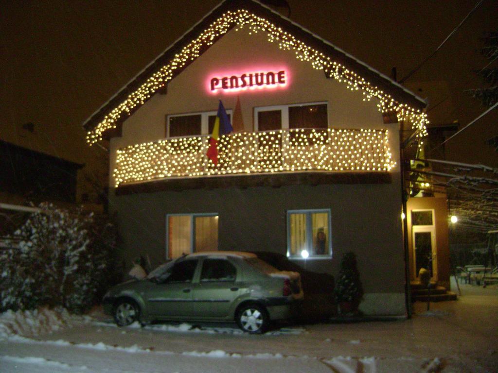 Pensiunea Miorita Arad Exteriér fotografie